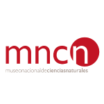 L_Mncn
